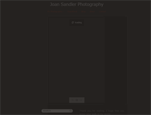 Tablet Screenshot of joansandlerphotography.com